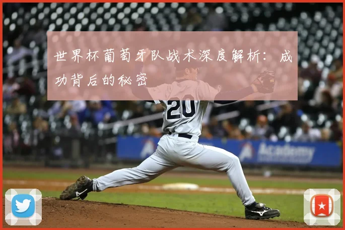 世界杯葡萄牙队战术深度解析：成功背后的秘密