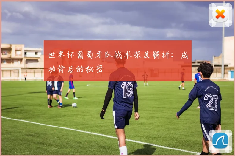 世界杯葡萄牙队战术深度解析：成功背后的秘密